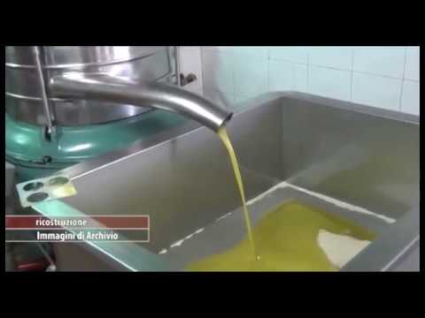 Olio greco spacciato per toscano Dop: maxi frode coinvolge anche la provincia di Arezzo