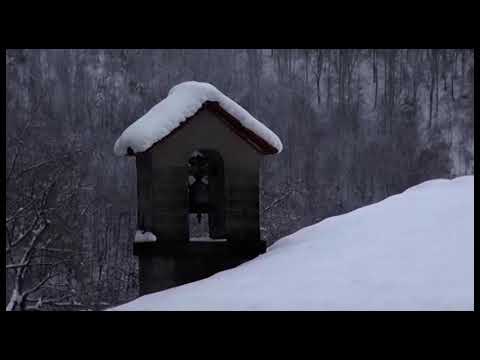 Neve e vento forte, codice giallo nell'Aretino. Volontari della Racchetta impegnati sull'Appenino