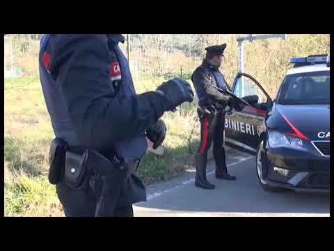 Sansepolcro. In auto con la droga ed in casa i militari scoprono serra di marijuana: arrestato
