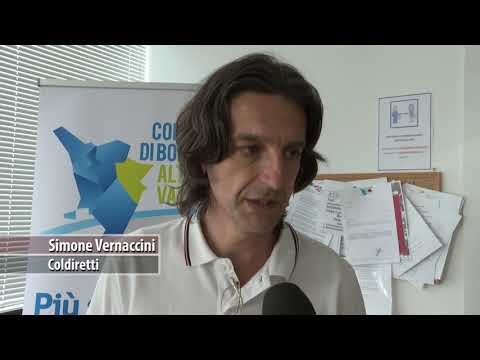 Manutenzione dei fiumi, al via la formazione per 90 aziende agricole