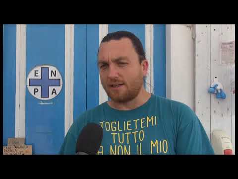 Arezzo. E' nuovamente emergenza gattini, 