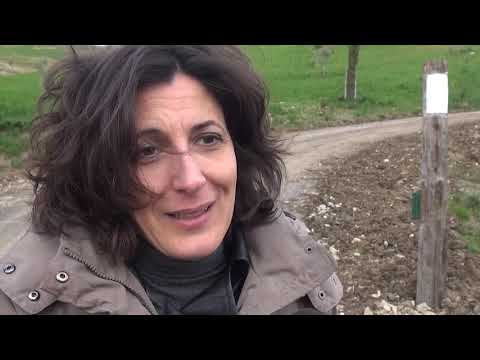 Maxi abuso paesaggistico: sequestrata a Bibbiena intera collina ai piedi del Parco