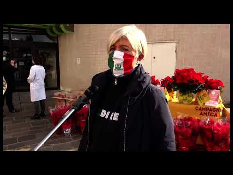 Arezzo. Coldiretti dona oltre 100 stelle di Natale ai reparti Covid dell’ospedale San Donato 6 visualizzazioni•28 nov 2020  0
