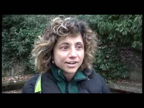 Giovi(Ar). A lezione in mezzo alla natura: il progetto green della scuola primaria