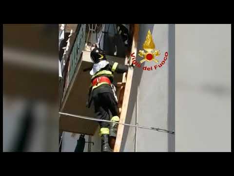 Cane appeso per la zampa al terzo piano, salvato dai Vigili del Fuoco
