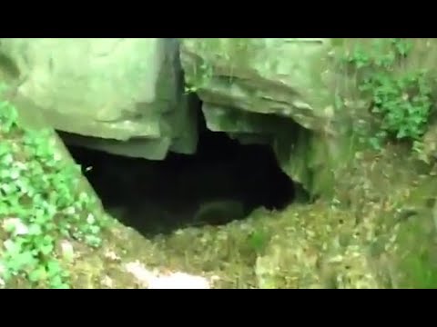 Caso Guerrina Piscaglia, le ossa trovate nella grotta sarebbero di animale