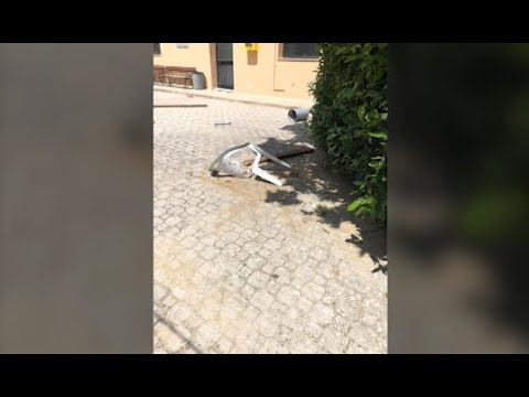 Atti vandalici a Santa Barbara, il comune: 