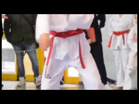Il centro Taekwondo Arezzo raddoppia: arriva anche il Freestyle