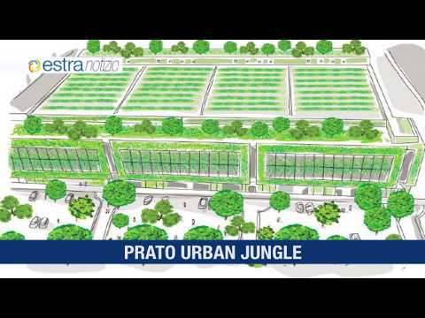 Estra Notizie - Maggio 2020