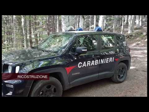 Pratovecchio Stia(Ar). Muore a 47 anni schiacciato da un albero, attesa per l'autopsia