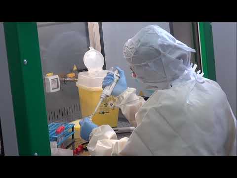 Arezzo. Giornate di super lavoro per il laboratorio analisi: 500 tamponi al giorno